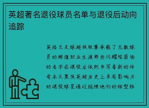 英超著名退役球员名单与退役后动向追踪