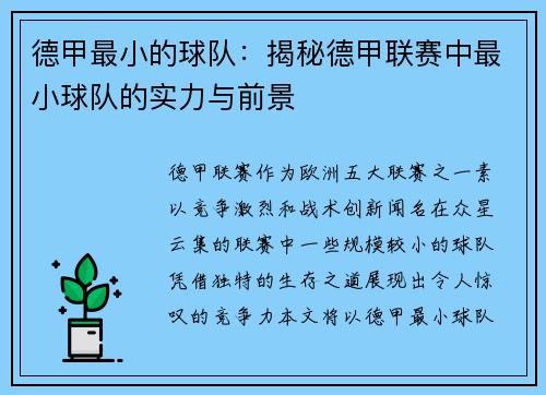 德甲最小的球队：揭秘德甲联赛中最小球队的实力与前景